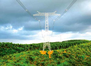 多家上市公司 分享 山東電力輸變電項(xiàng)目數(shù)十項(xiàng)標(biāo)包