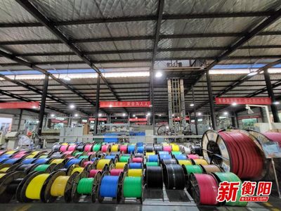 產業規模位居國內前列 產品創多項世界第一!衡陽輸變電產業強勢崛起