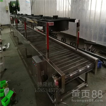 【不銹鋼鏈網降溫流水線色母粒風冷生產輸送機】- 