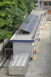 一圖探秘 電莞家 社會(huì)責(zé)任基地